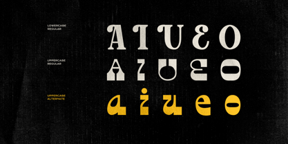 Kovice Font Poster 4