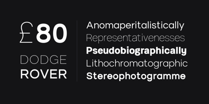 Origin Neue Font Poster 7