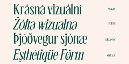 Bougene Font Poster 4