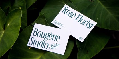 Bougene Font Poster 10