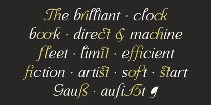 Monch Neue Script Font Poster 3