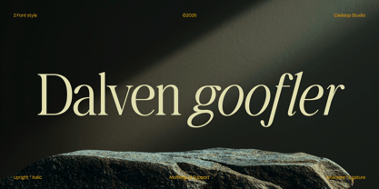 Dalven Goofler Font Poster 1