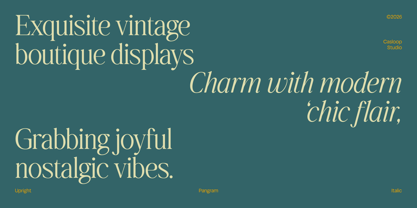 Dalven Goofler Font Poster 5