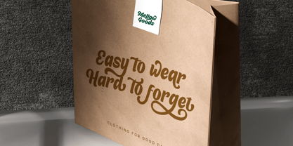Vilenia Font Poster 7