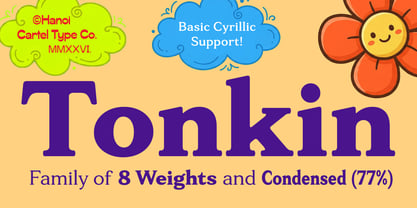 Tonkin Serif Font Poster 1