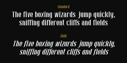 Neonette Serif Font Poster 4