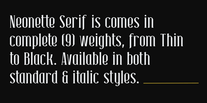 Neonette Serif Font Poster 2