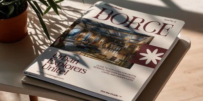 Ronel Luxury Font Poster 14