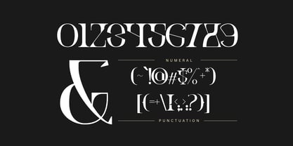 Ronel Luxury Font Poster 10