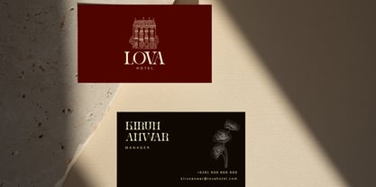 Ronel Luxury Font Poster 13
