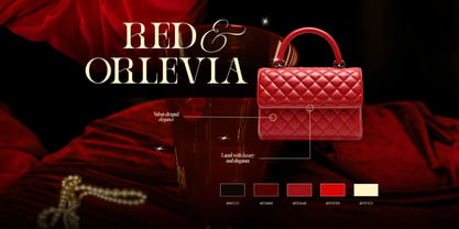 Ronel Luxury Font Poster 11