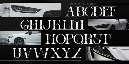 Ronel Luxury Font Poster 5