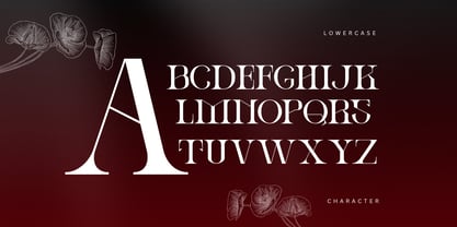 Ronel Luxury Font Poster 9