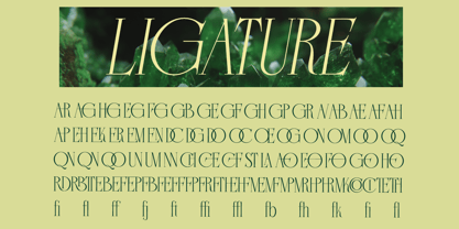 Gremont Arquela Font Poster 10