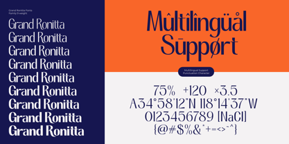 Grand Ronitta Font Poster 8