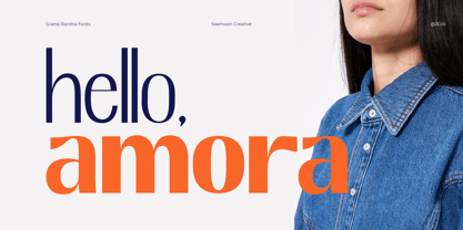 Grand Ronitta Font Poster 4