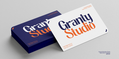 Grand Ronitta Font Poster 9