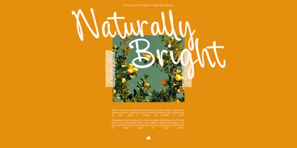 Distania Steffany Font Poster 5