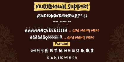 Tiki Bongo Font Poster 12