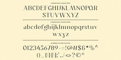 Orviane Font Poster 9