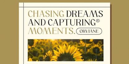 Orviane Font Poster 6