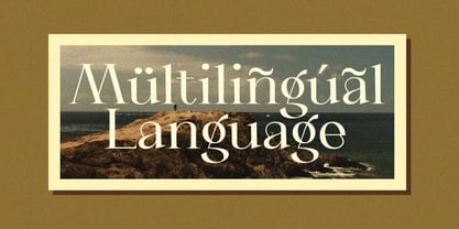 Orviane Font Poster 8