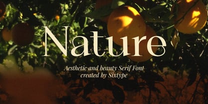 Orviane Font Poster 2