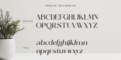 Slamyon Font Poster 12