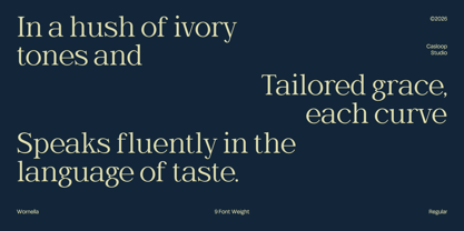 Wornella Font Poster 6