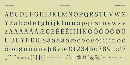 Wornella Font Poster 7
