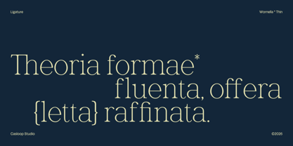 Wornella Font Poster 2