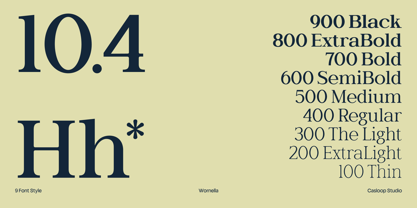 Wornella Font Poster 9