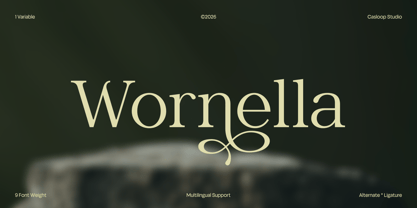 Wornella Font Poster 1