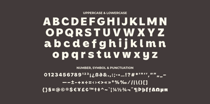 Driza Font Poster 9