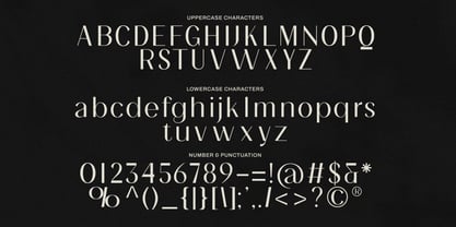 Precille Font Poster 9