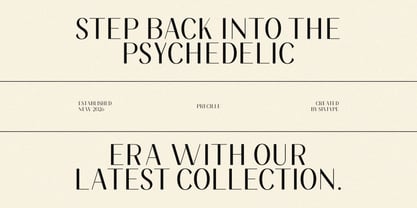 Precille Font Poster 4