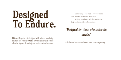 Monowave Font Poster 5