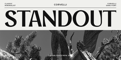 Corvelli Font Poster 6
