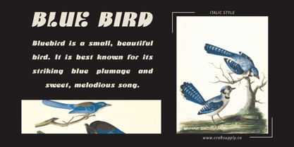 Vorline Font Poster 2