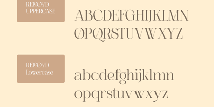 Relooyd Font Poster 12
