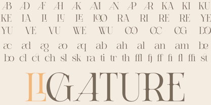 Relooyd Font Poster 10