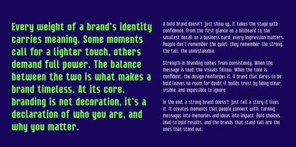 Lineon Sans Font Poster 8