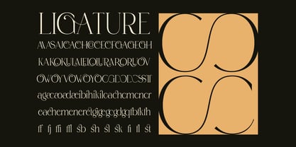 Roowgen Font Poster 11