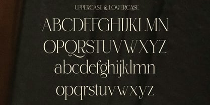 Roowgen Font Poster 12