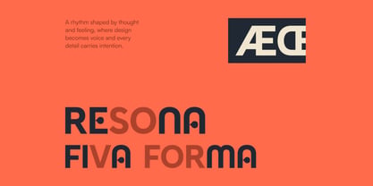 Neroa Font Poster 3