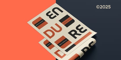Neroa Font Poster 6