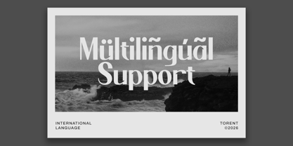 Torent Font Poster 8