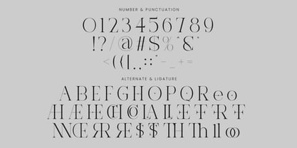 Ravelyn Font Poster 9