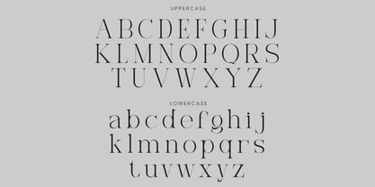 Ravelyn Font Poster 8