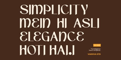 Narvaya Font Poster 4